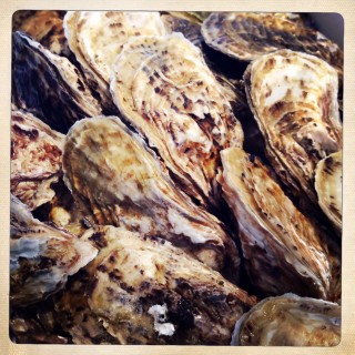 写真 2014-02-22 15 20 38